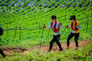 BIB: 2078
                            <button type="button" onclick="openModal(19163885)" class="btn btn-primary btn-sm float-right btn-popup" data-toggle="modal" data-target=".modal-high-quality">
                        <i class="fas fa-shopping-cart"></i> Add to Cart
                    </button>
                                            <button type="button" onclick="isThisMe(19163885, true)" class="btn btn-success btn-sm float-right btn-popup btn-isme hidden" data-toggle="tooltip" data-placement="bottom" title="นี่คือรูปของคุณใช่ไหม คลิกที่นี่เพื่อเอาเข้าอัลบั้ม">
                        <i class="fas fa-plus"></i> Add to album
                    </button>
                    <button type="button" onclick="isThisMe(19163885, false)" class="btn btn-warning btn-sm float-right btn-popup btn-isnotme hidden">
                        <i class="fas fa-ban"></i> Remove from album
                    </button>